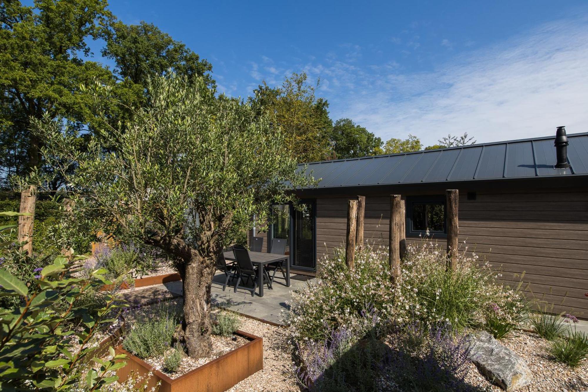 Modern Ingericht Chalet Op Groen Park Op De Veluwe Epe Luaran gambar