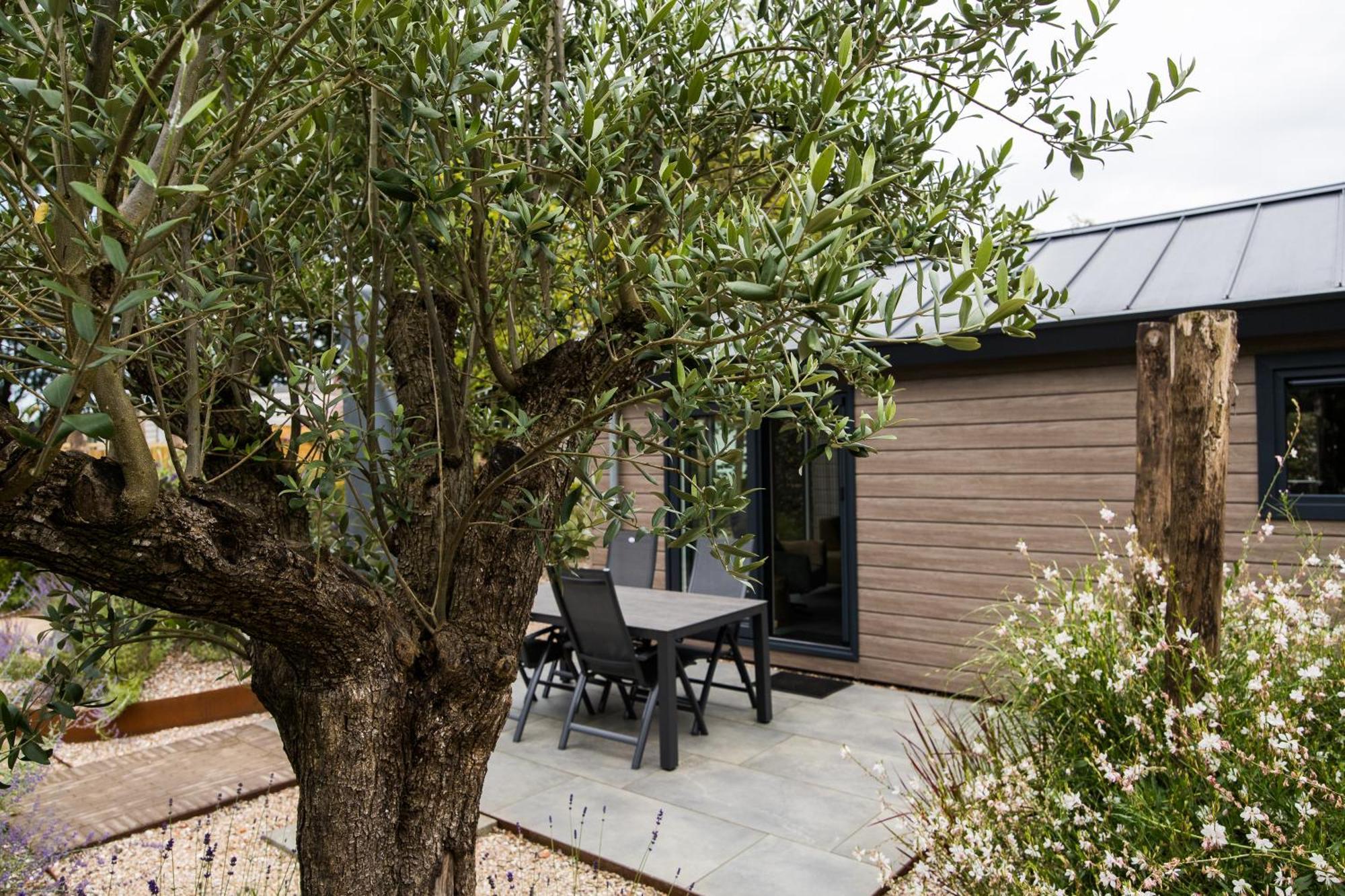 Modern Ingericht Chalet Op Groen Park Op De Veluwe Epe Luaran gambar