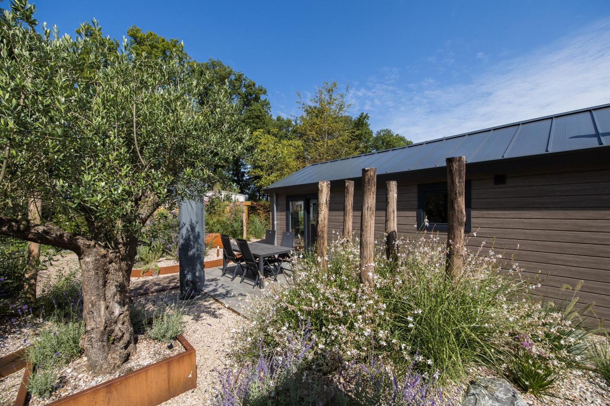 Modern Ingericht Chalet Op Groen Park Op De Veluwe Epe Luaran gambar