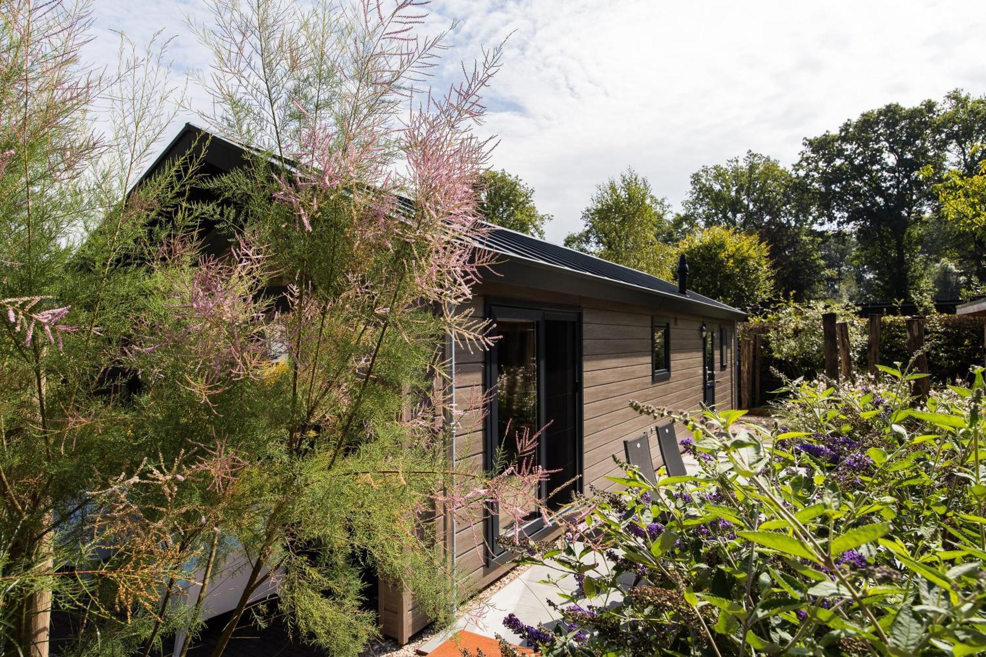 Modern Ingericht Chalet Op Groen Park Op De Veluwe Epe Luaran gambar
