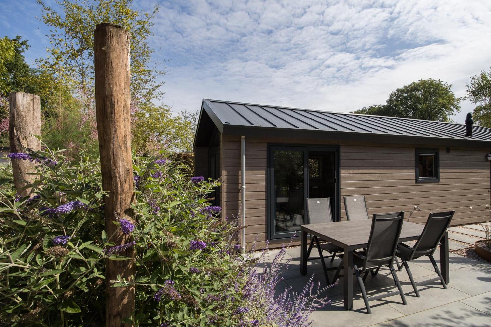 Modern Ingericht Chalet Op Groen Park Op De Veluwe Epe Luaran gambar